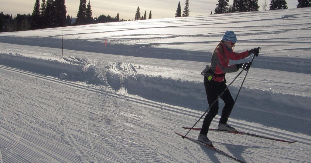 Try Nordic Skiing Techniques