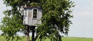 Treehouse: The Kids Can Use It, Too. Treehouse for Kids Too