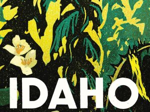 Book Review: Idaho, by Emily Ruskovich Book Review Idaho