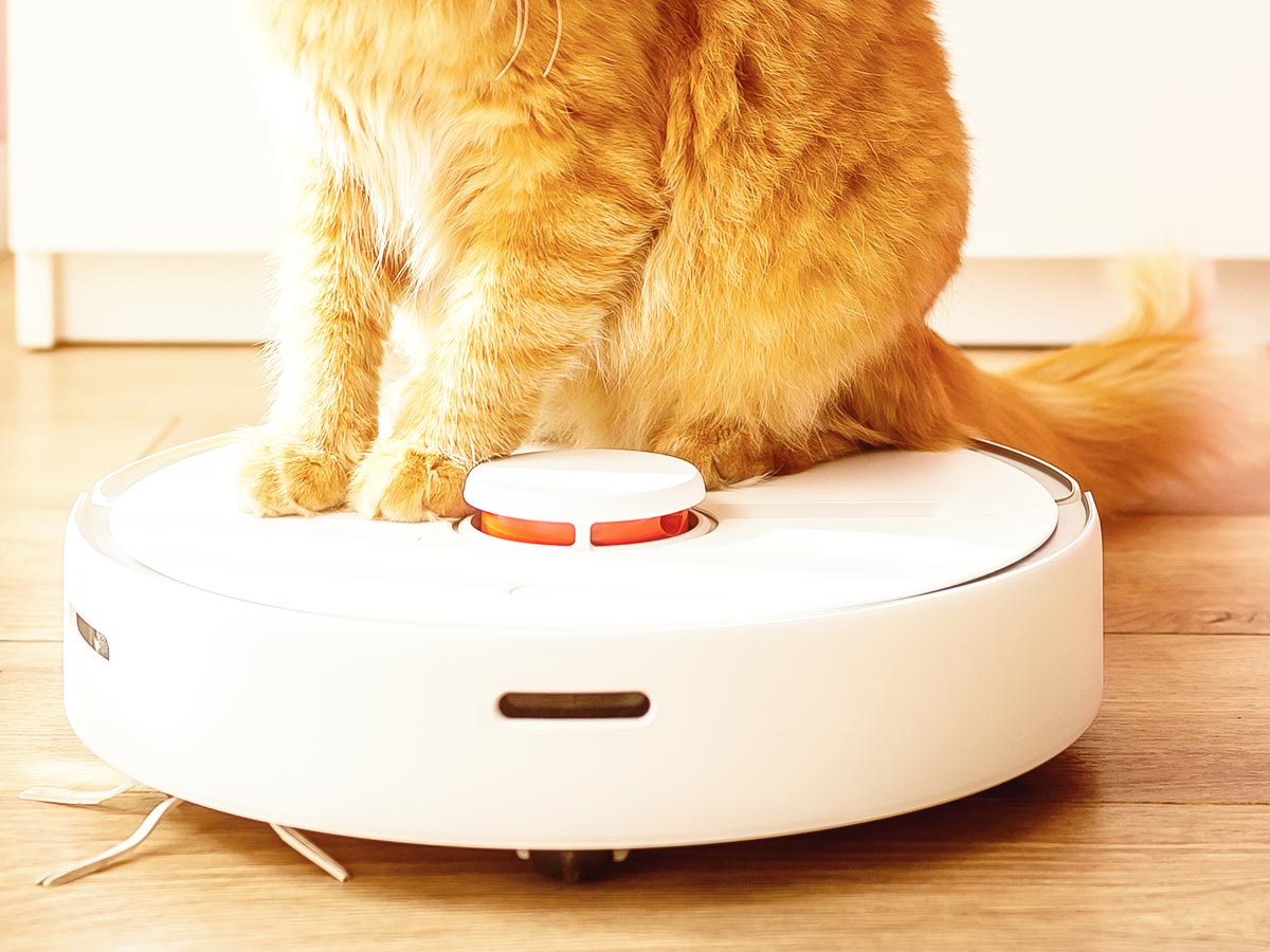 Photo of orange cat sitting on a robotic vaccum