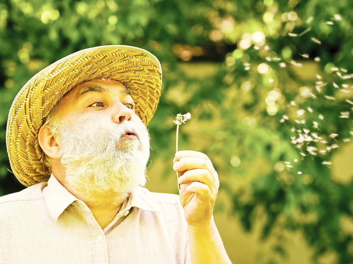 Photo of senior man blowing a dandelion