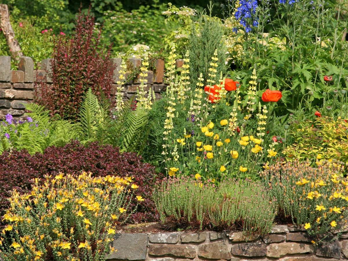 Photo of a pollinator gardener garden