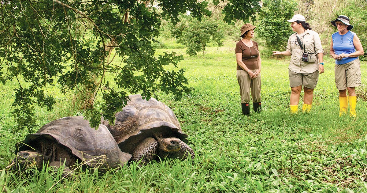 Ecotourism: Photo of tourists looking at and talking about two giant tortoises.