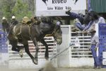 Kevin Donahue Celebrates Life with a Father’s Day Rodeo