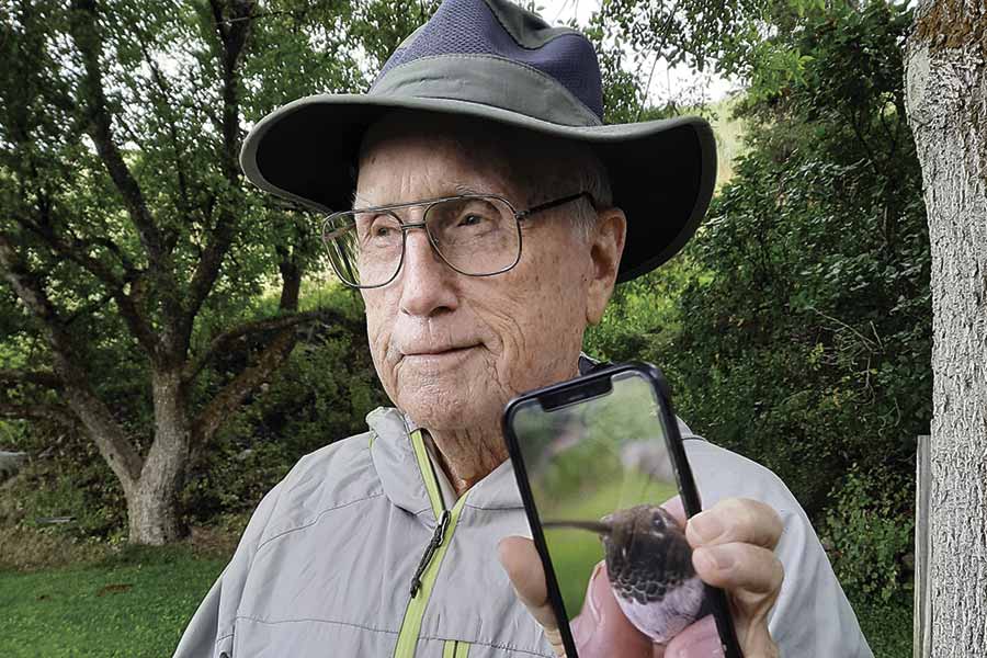 Avian Detective Fred Bassett