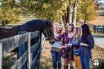 Horses, Horsepower, and Hollers