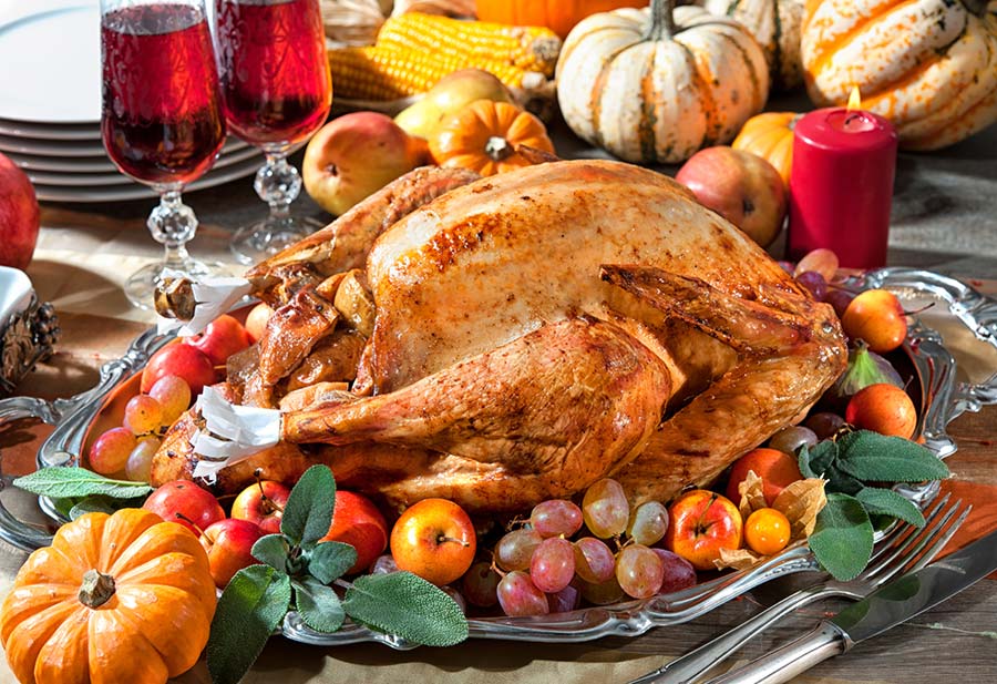 Thanksgiving turkey