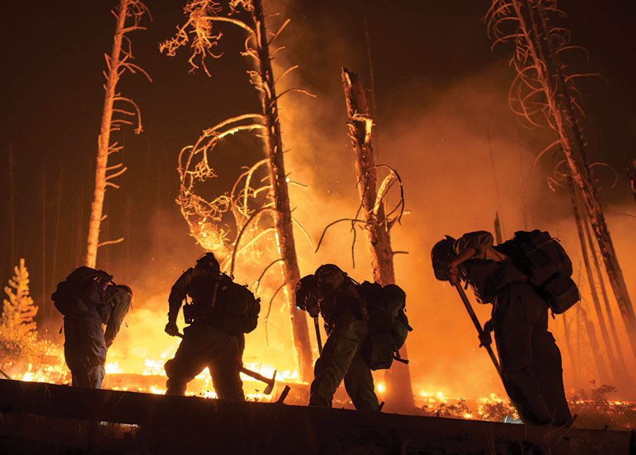 Wildfires of 2024 Forever Changed the Face of Idaho’s Forests